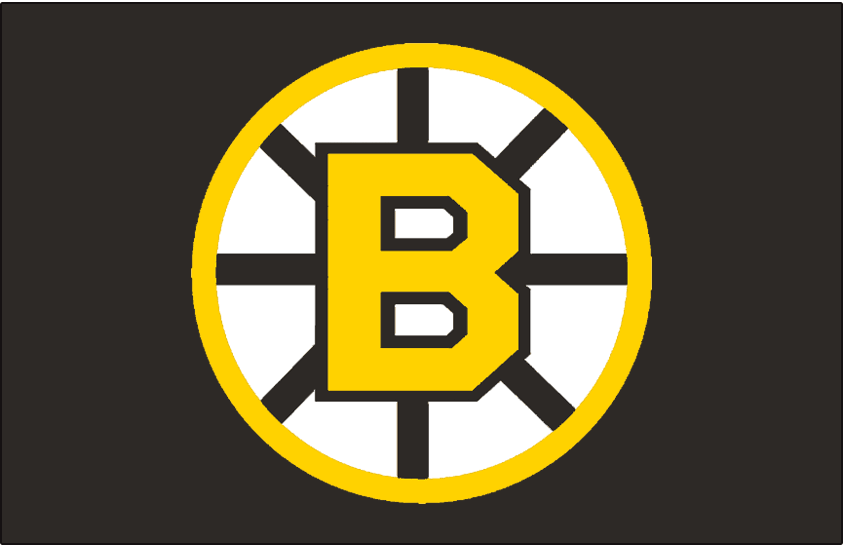 Boston Bruins 1955-1995 Jersey Logo fabric transfer